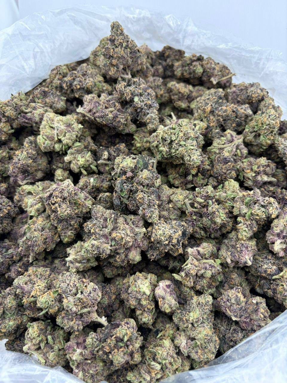 Citrus tsunami - flower from Big LA Exotics