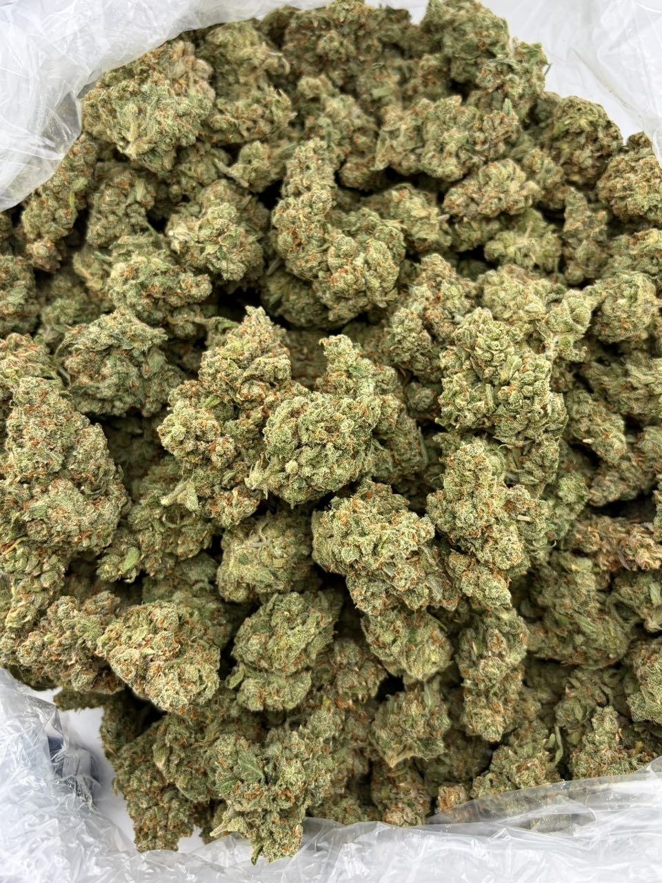 Gumbo 88G - photo 2