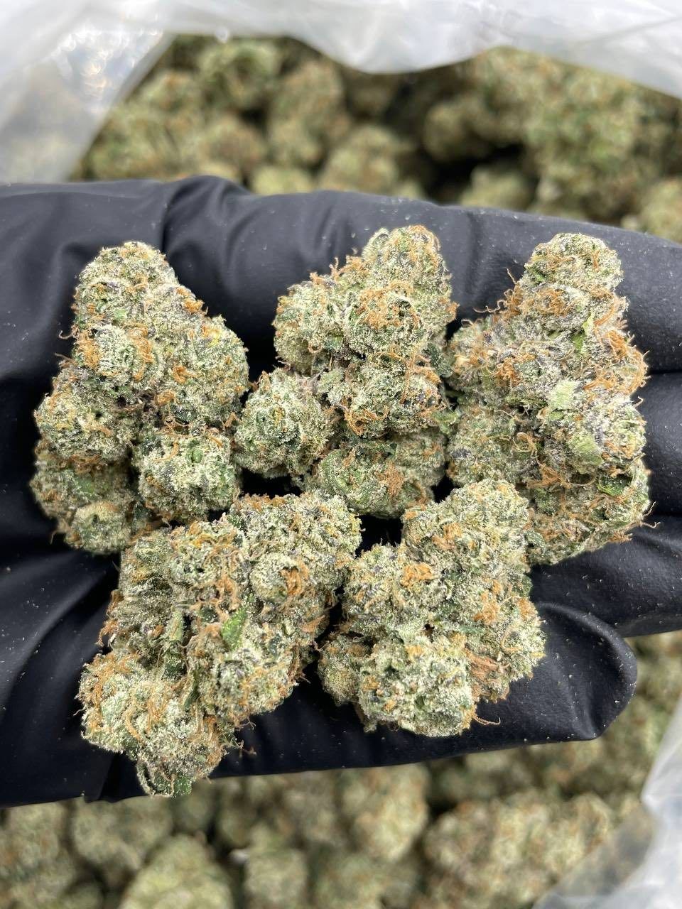 Cannabis for Anxiety and Stress: What Works