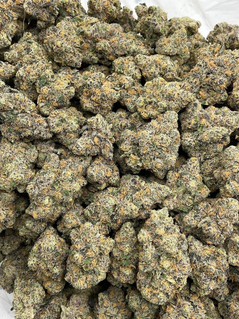 Understanding Cannabis Strains: Indica, Sativa, and Hybrid Explained