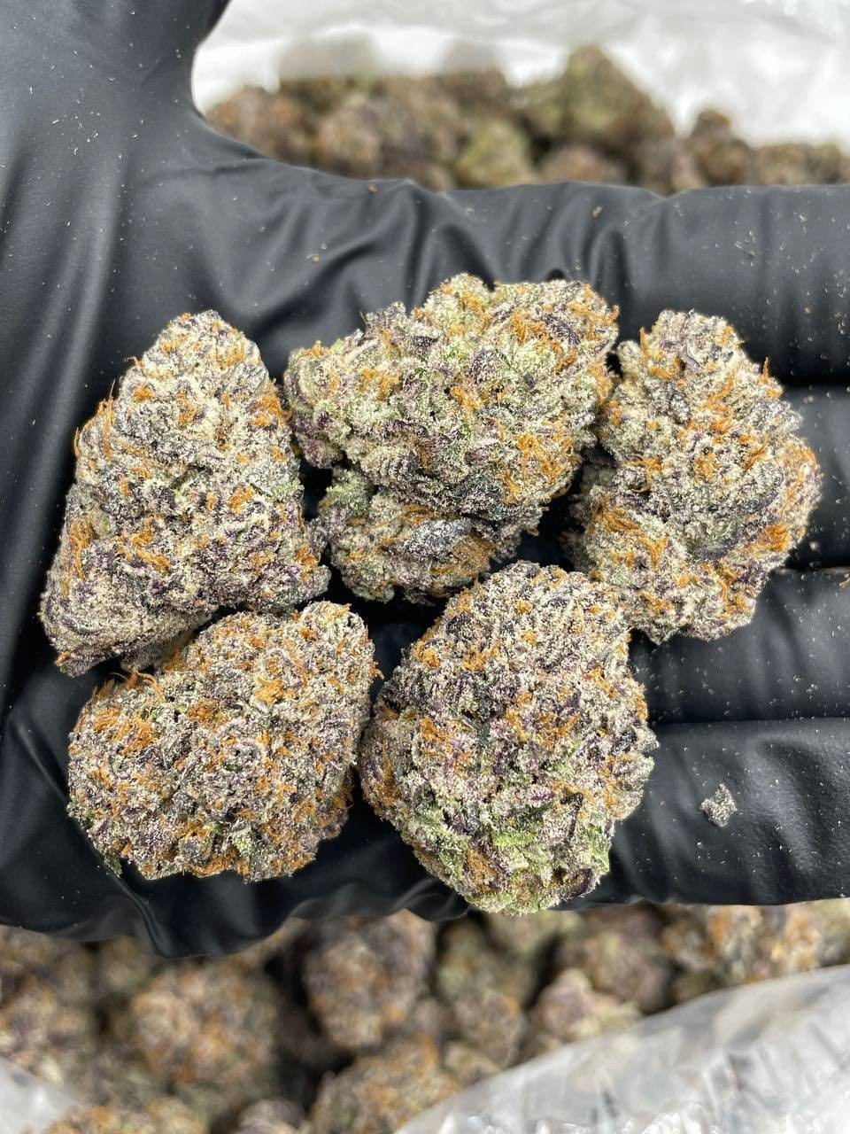 STRAWBERRY MAC 🍓