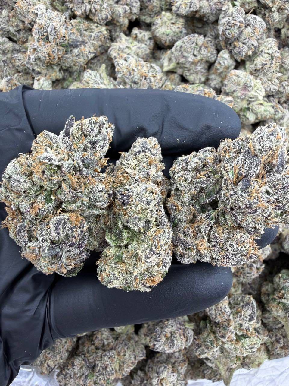 Cannabis for Sleep: A Natural Remedy for Insomnia