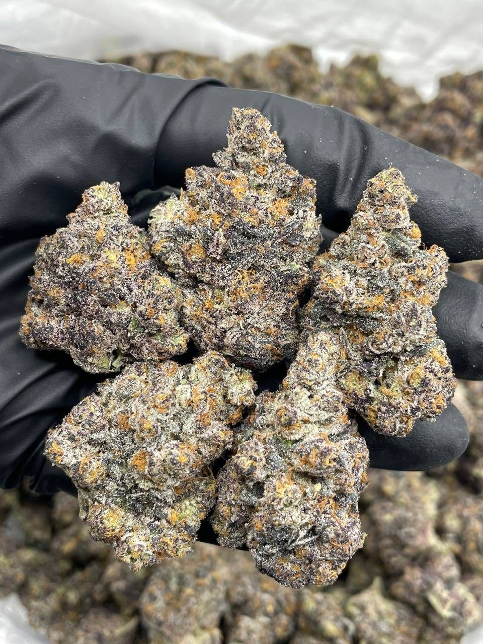 What Are Terpenes? The Complete Guide to Cannabis Aromatics 2