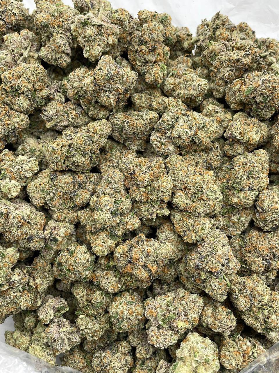 RAINBOW GEORGIA PIE INDOORS 🌈🥧 📦$800 P - photo 2