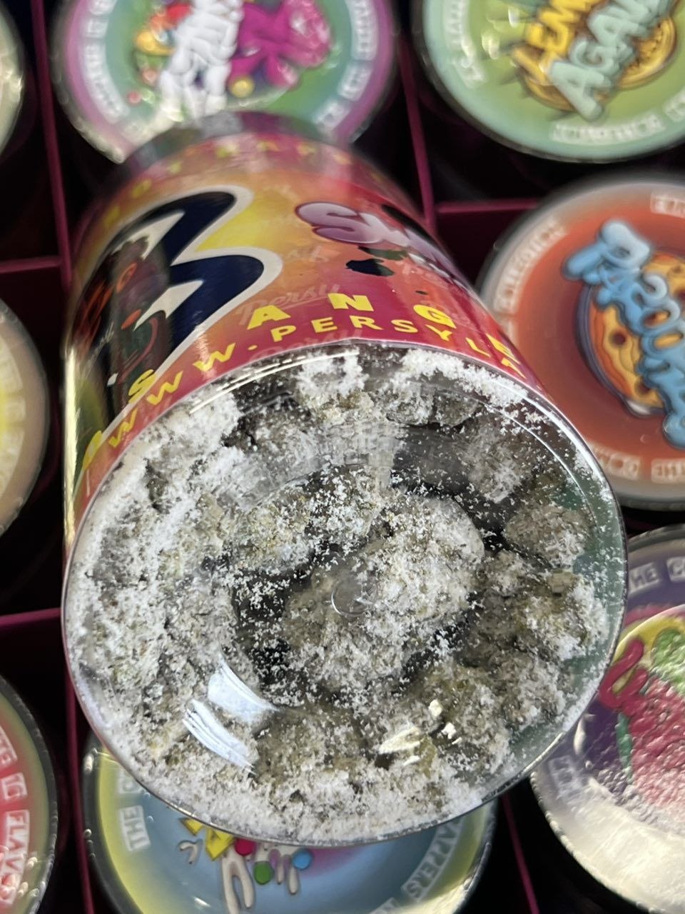Persy X Sweetz Mini Snowballs - others from Big LA Exotics