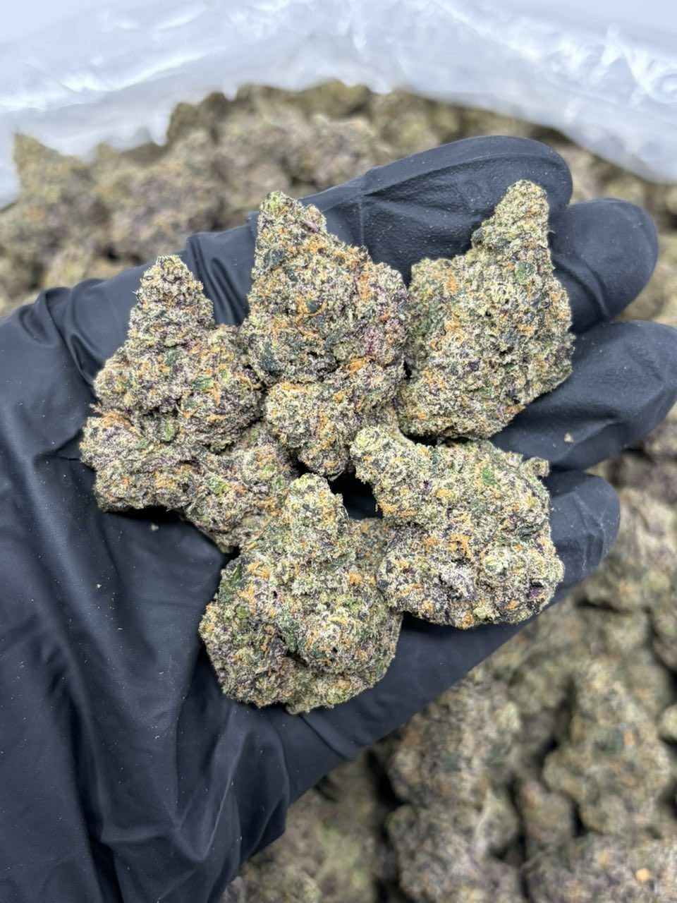 Jelly donut | Big LA Exotics Jelly donut - flower from Big LA Exotics